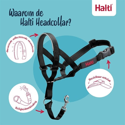 The Company Of Animals Gesellschaft Der Tiere Halti Halsband Schwarz