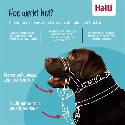 The Company Of Animals Gesellschaft Der Tiere Halti Halsband Schwarz