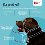 The Company Of Animals Gesellschaft Der Tiere Halti Halsband Schwarz