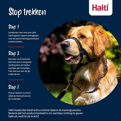 The Company Of Animals Gesellschaft Der Tiere Halti Halsband Schwarz