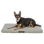 Trixie Hundekissen Noah Vital Hellgrau