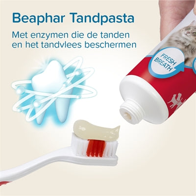 Beaphar Und Bürste Kombi-Packung