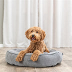Trixie Vital Hundekorb Lennox Rund Grau