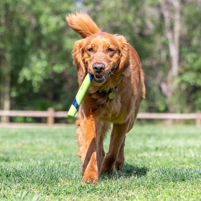 Chuckit Sniff Fetch Stick Erdnussbutter Duft 28X3X2.5 Cm