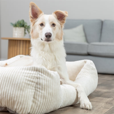 Trixie Vitaler Hundekorb Jonna Eckige Rippe Samtcreme
