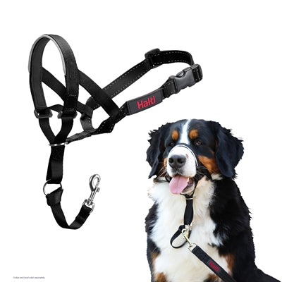 The Company Of Animals Gesellschaft Der Tiere Halti Halsband Schwarz