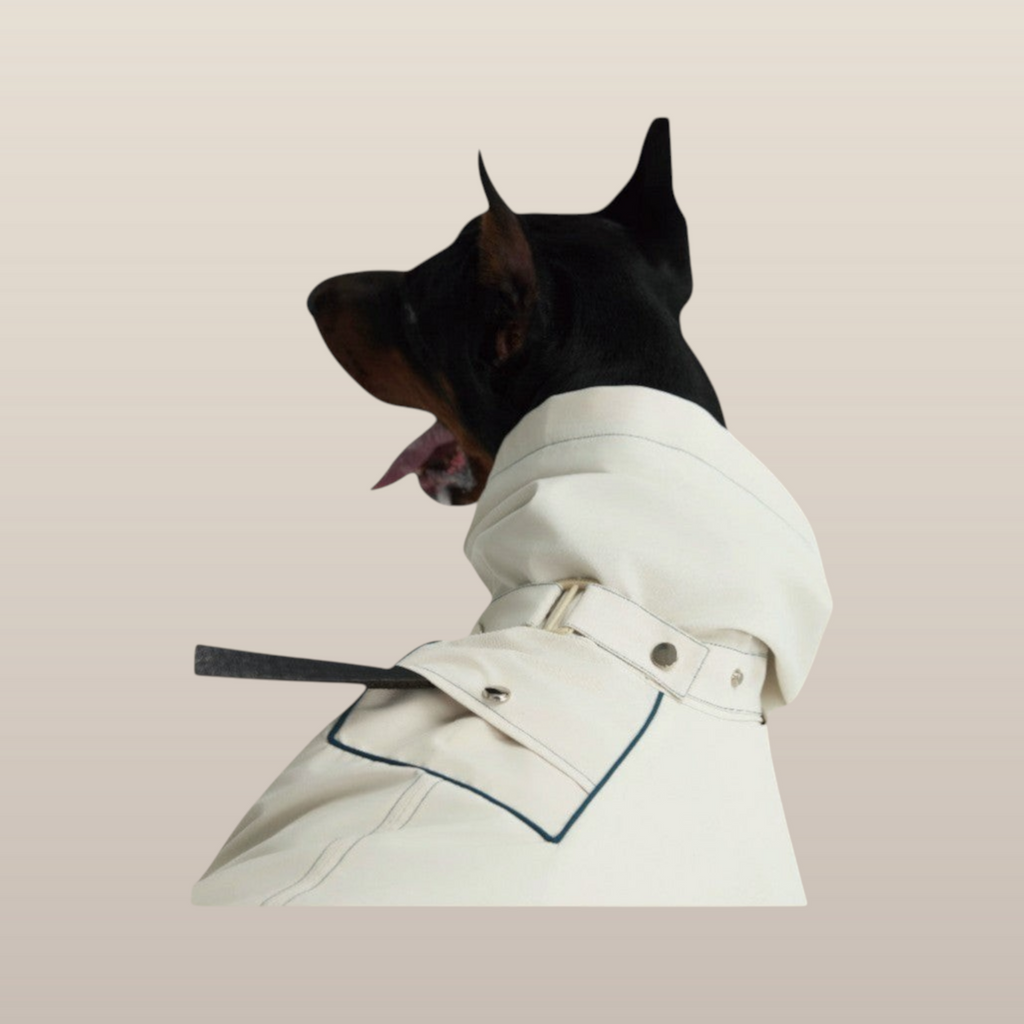MoonRise Lulu Hunde-Regenmantel – ultraweich, wasserdicht, Weiß