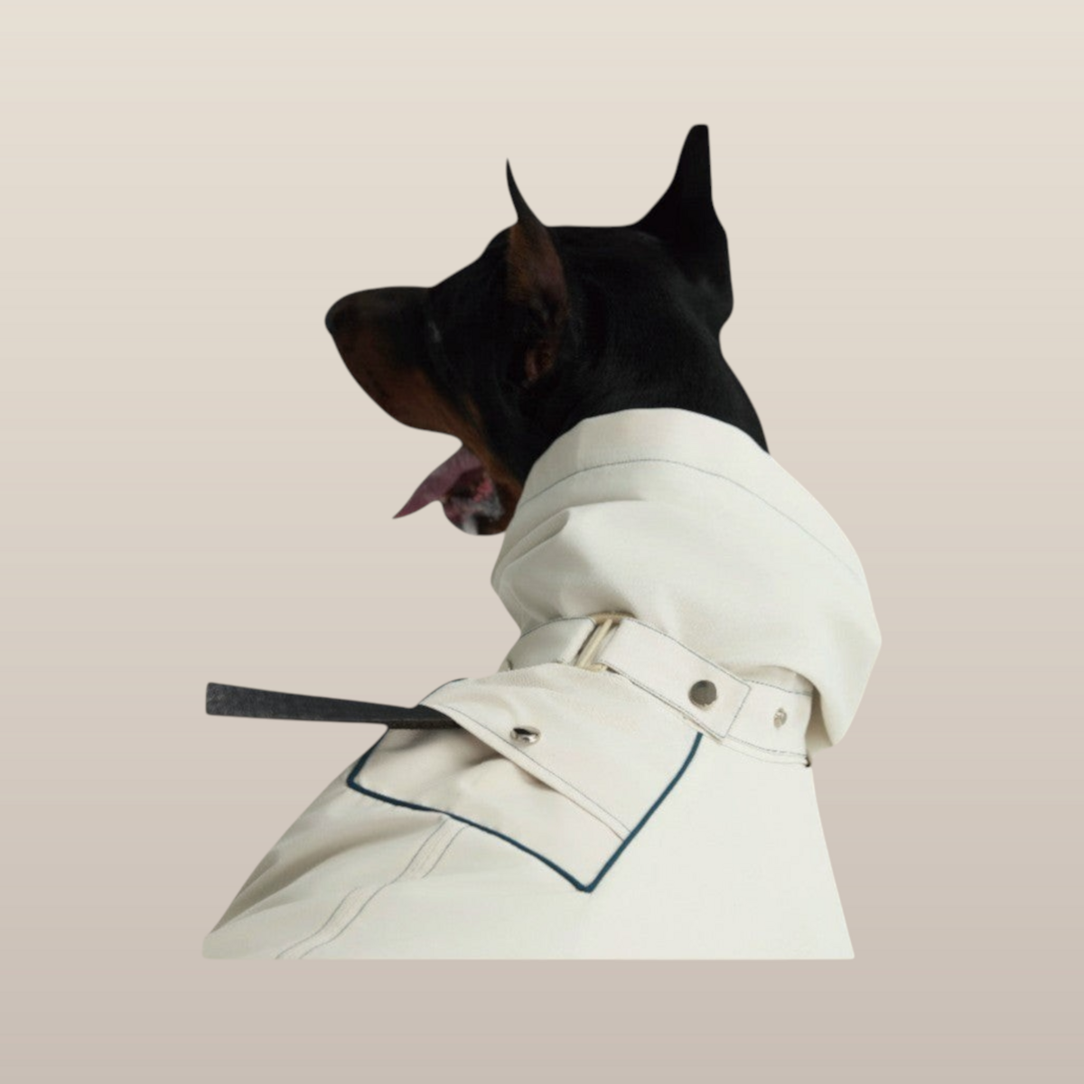MoonRise Lulu Hunde-Regenmantel – ultraweich, wasserdicht, Weiß