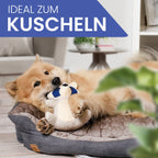 ne&no Hundespielzeug - Hundestofftier mit Quietscher - Frecher Waschbär Wally