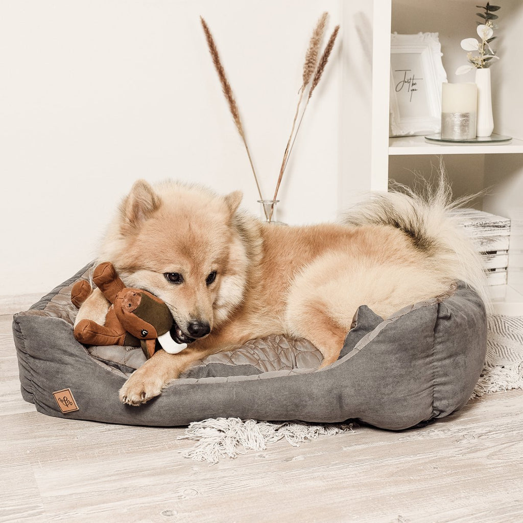 ne&no® Robustes Hundespielzeug [Developed by NE&NO] - Büffell Billie