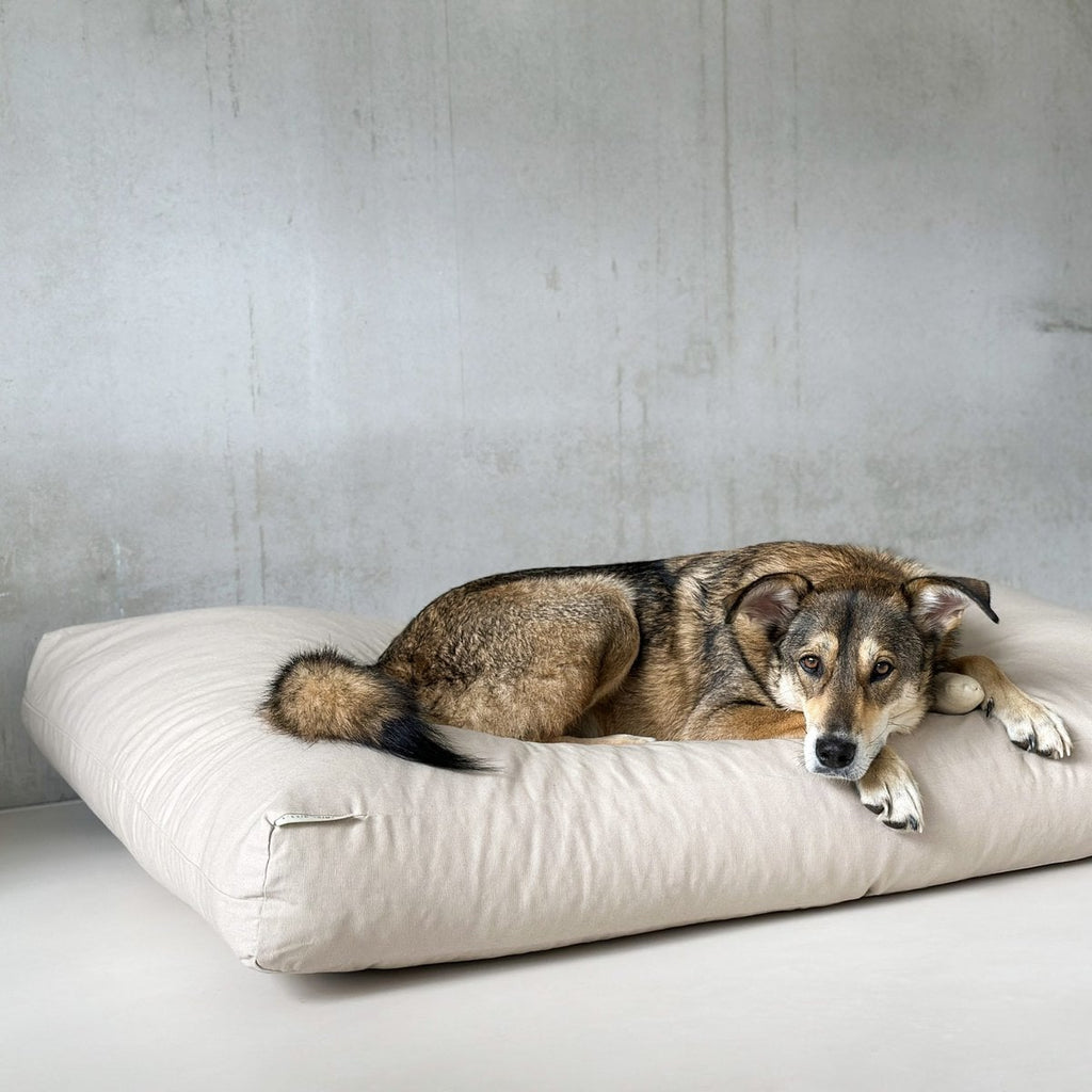 Studio Animaux hondenkussen katoen EPS-parelvulling vanille maat L 130 x 90 x 15 cm