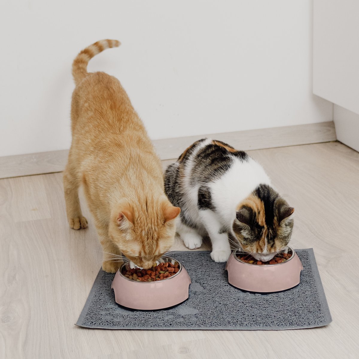 ne&no Feeding Bowl, Set of 2, for Dogs and Cats, Rose (Sizes S/M/L)