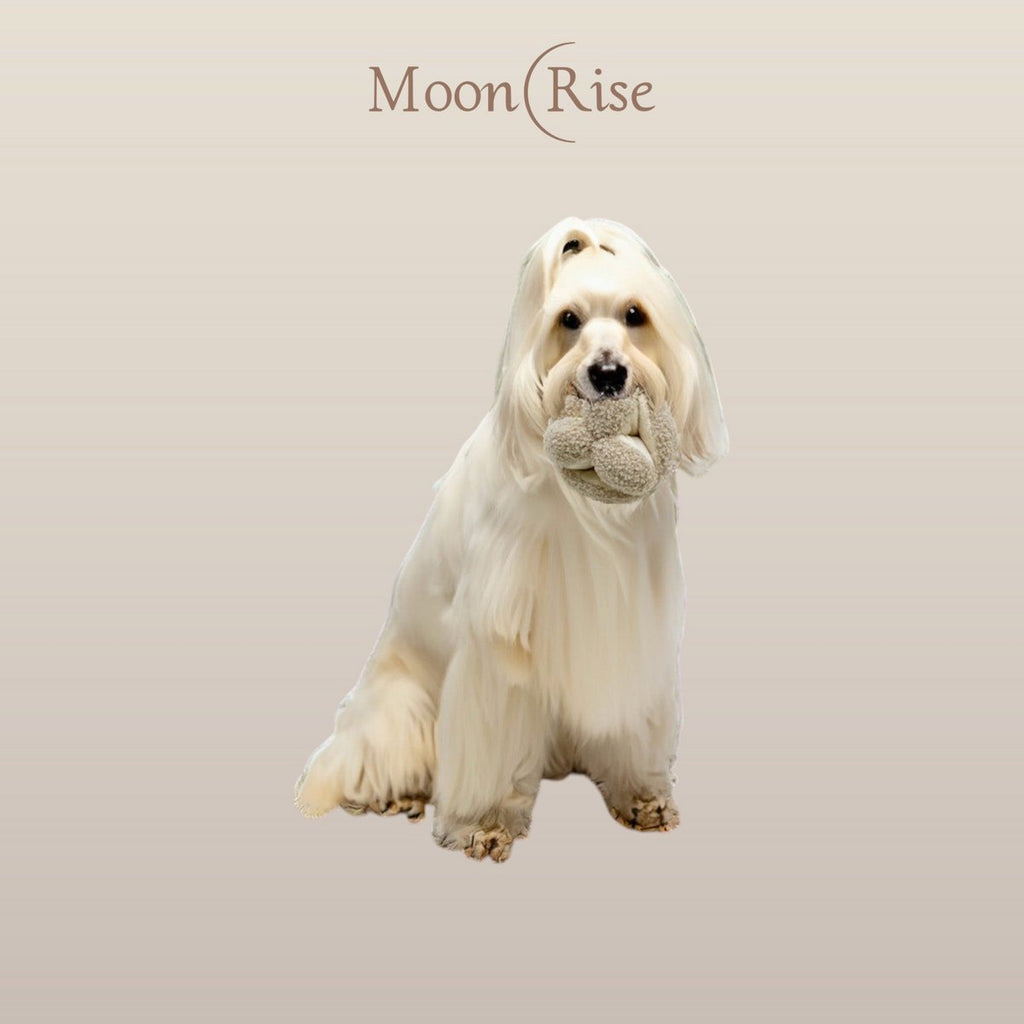 MoonRise grote snuffelbal van pluche met piepgeluid