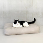 Studio Animaux kussen voor honden en katten katoen EPS-parelvulling maat S 70 x 50 x 15 cm