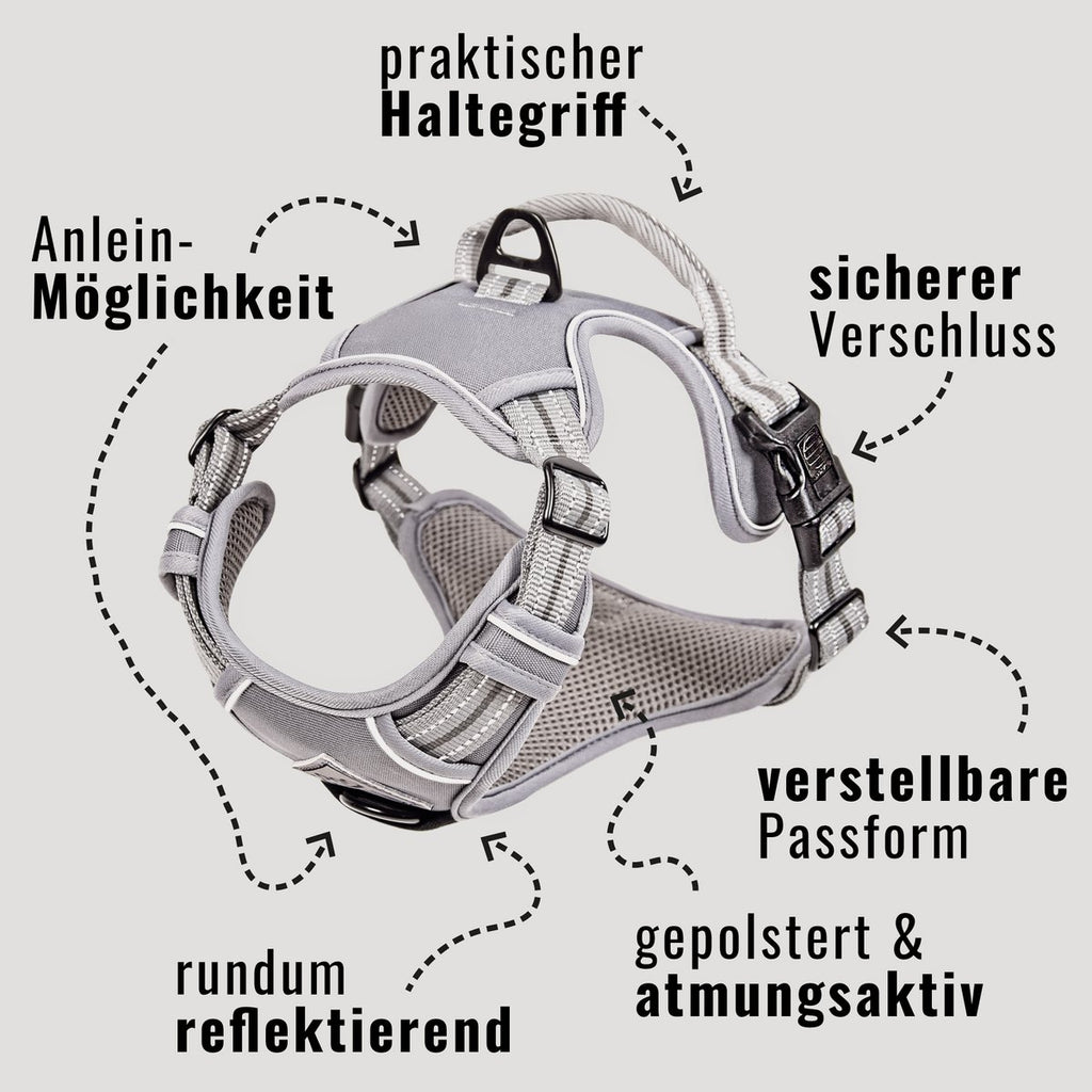 ne&no Dog Harness with Matching Shock Absorber [Developed by NE&NO]