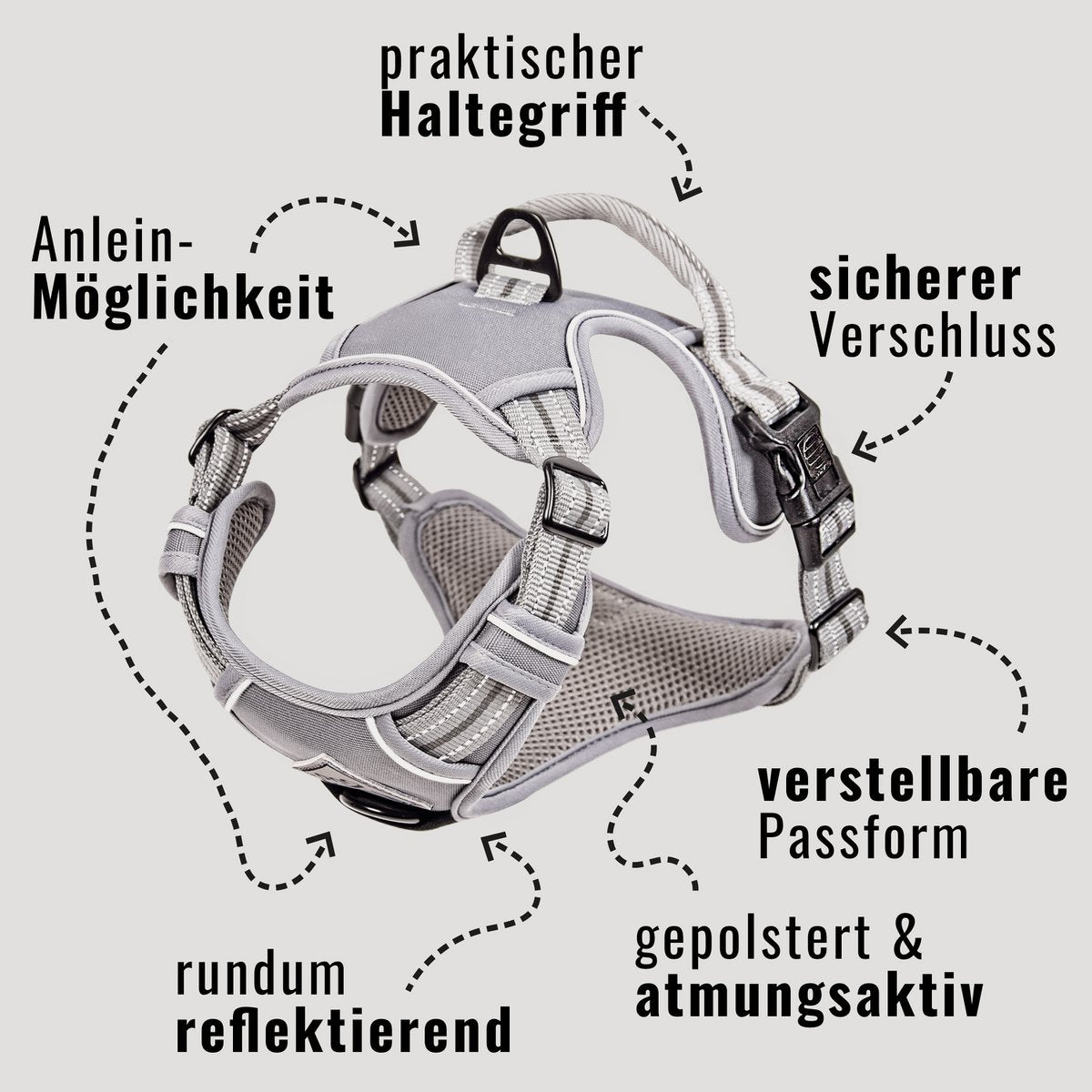 ne&no® Hundegeschirr mit passendem Ruckdämpfer [ENTWICKELT von NE&NO]