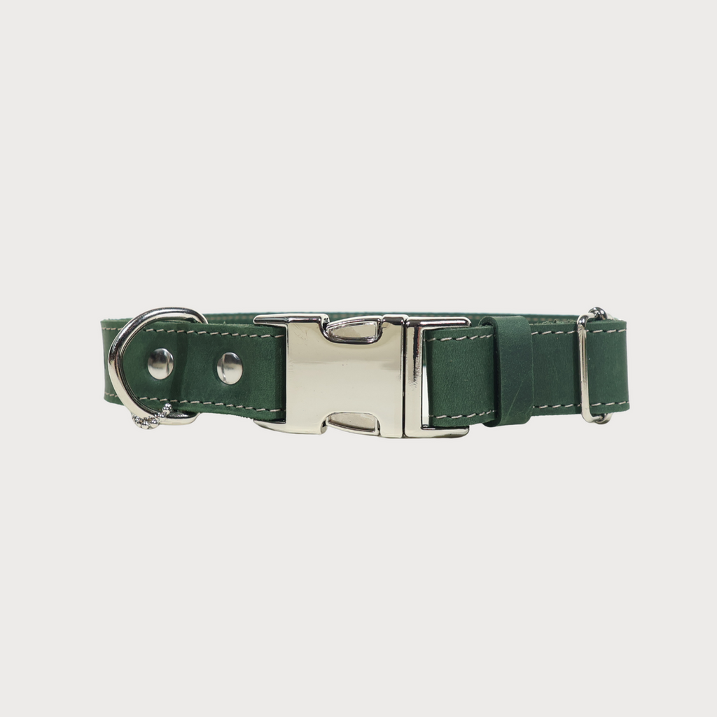 Pawearea Hundehalsband aus Leder – Echtes Vollnarbenleder, handgefertigt in Europa, 5 Farben, verstellbar