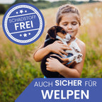 ne&no Hundespielzeug - Hundestofftier mit Quietscher - Frecher Waschbär Wally