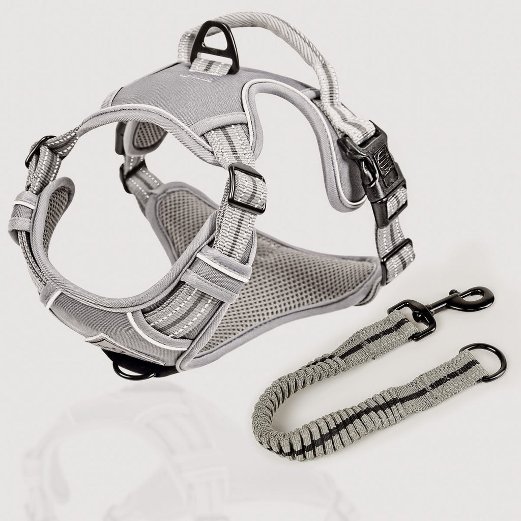 ne&no® Hundegeschirr mit passendem Ruckdämpfer [ENTWICKELT von NE&NO]