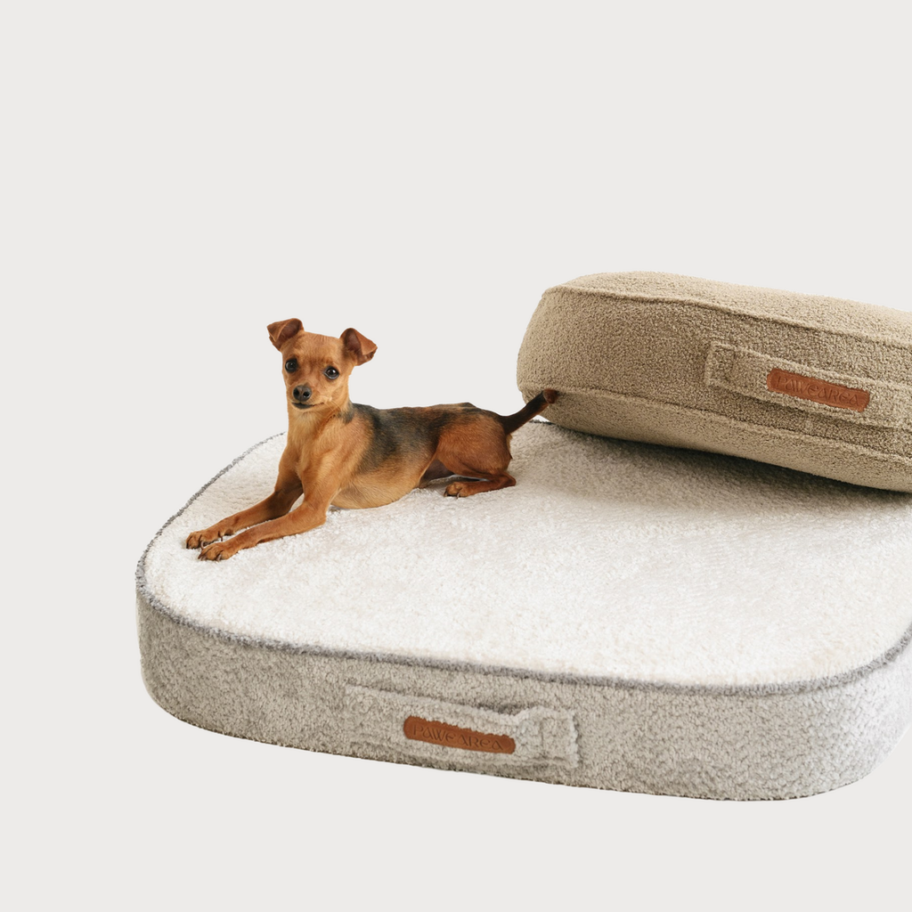 Pawearea orthopedische hondenmatras Merlin – premium ondersteunend bed voor grote hondenrassen, handgemaakt in Europa