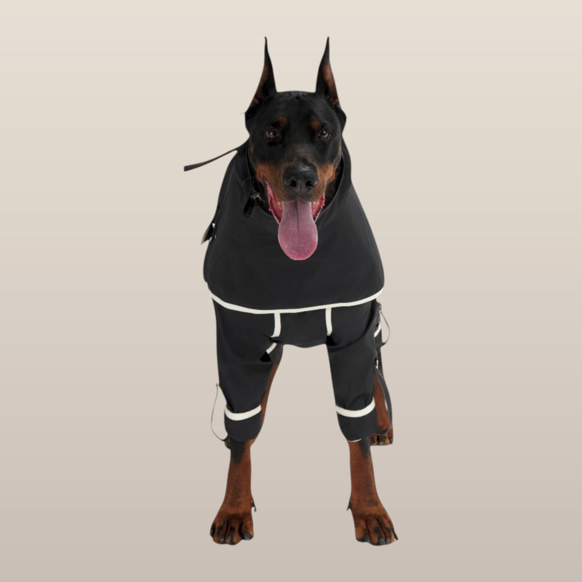 MoonRise Lulu After-Rain broek voor grote honden – zwart