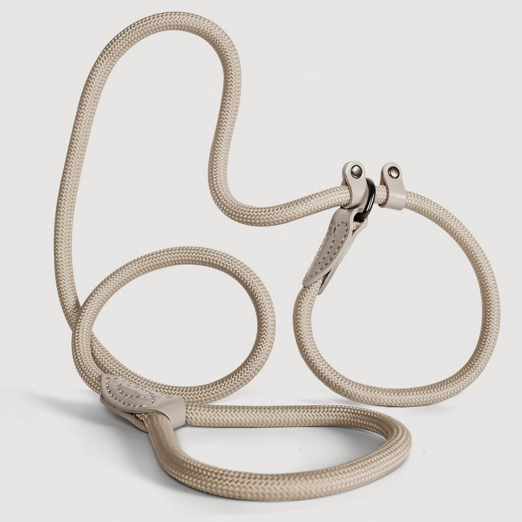 ne&no®  Retrieverleine - Tauleine mit integriertem Halsband