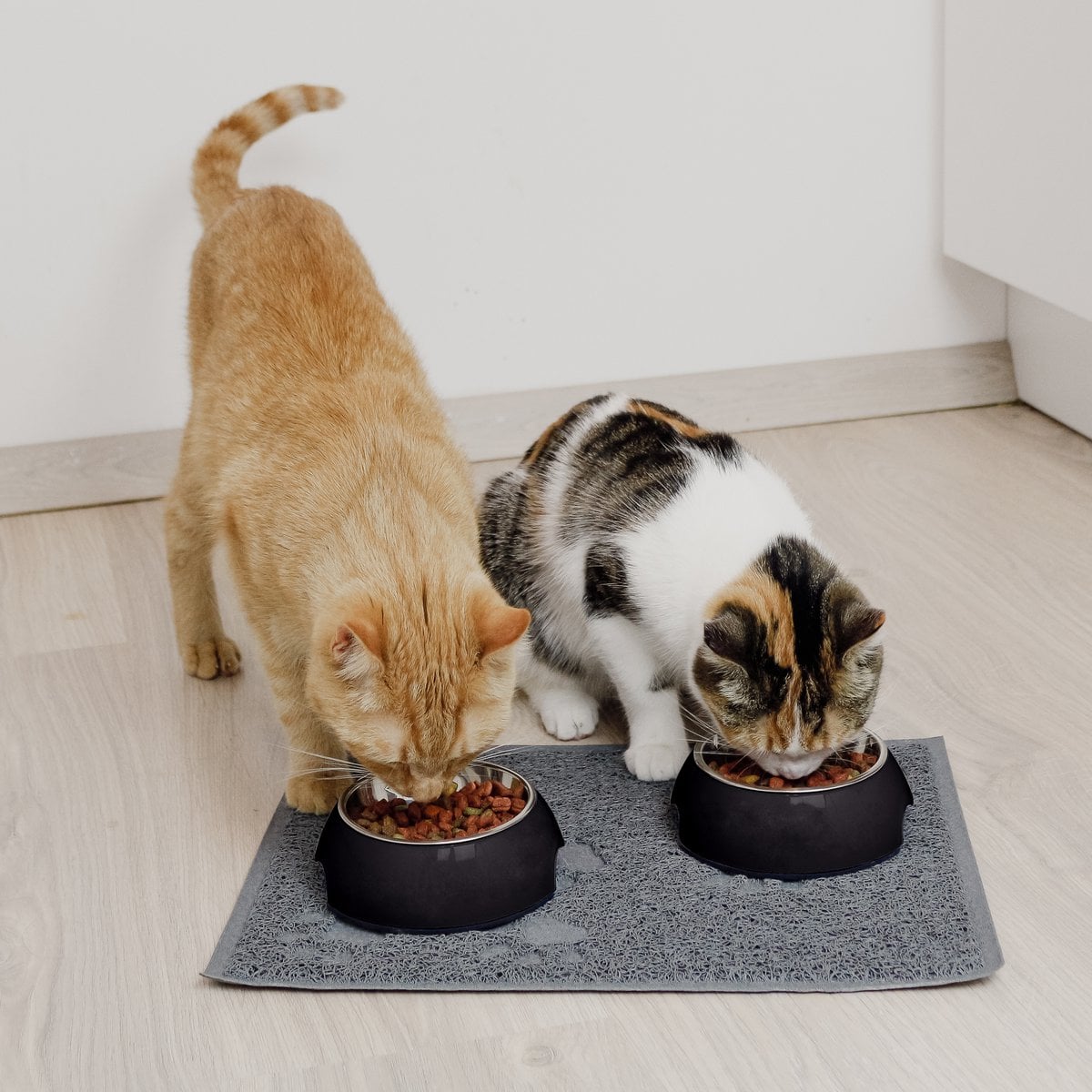 ne&no® voerbak - set van 2 - voor honden en katten - zwart [mt. S / M / L]