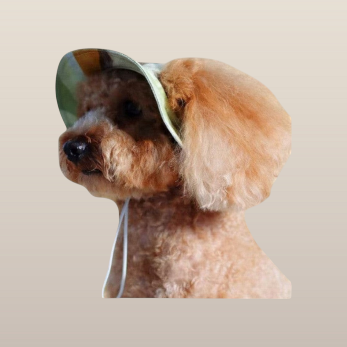 MoonRise Pet Bucket Hat, Ochre