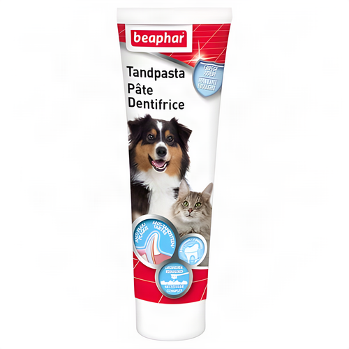 Beaphar Zahnpasta Mit Lebergeschmack 100 Gr