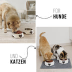 ne&no Feeding Bowl Set of 2 for Large Dogs [Unique Design by NE&NO], 'Love' Design