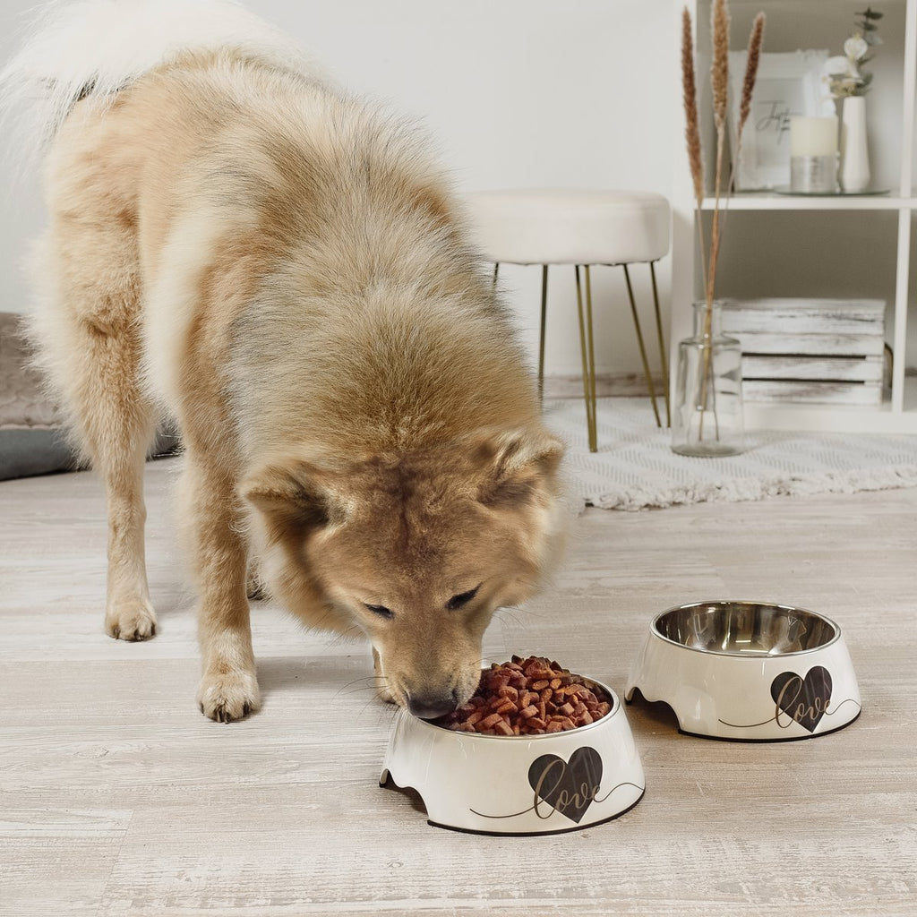 ne&no Feeding Bowl Set of 2 for Large Dogs [Unique Design by NE&NO], 'Love' Design