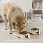 ne&no Feeding Bowl Set of 2 for Large Dogs [Unique Design by NE&NO], 'Love' Design
