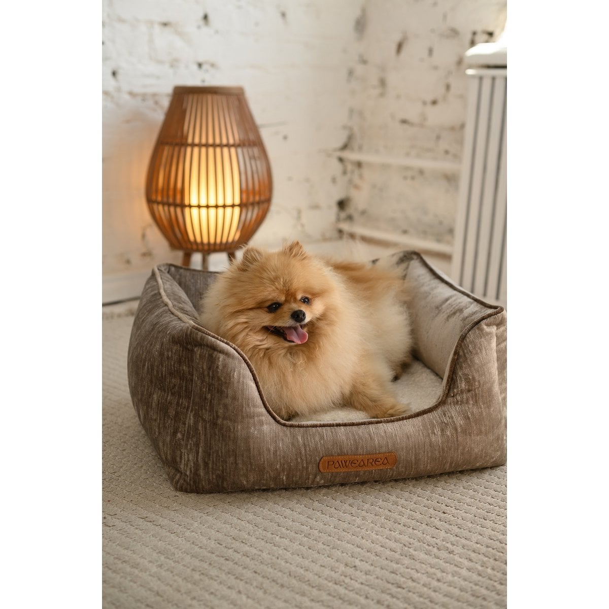 Pawearea Phoebe Luxus-Hundebett – Premium-Samt, handgefertigt in Europa, moderner Designer-Stil