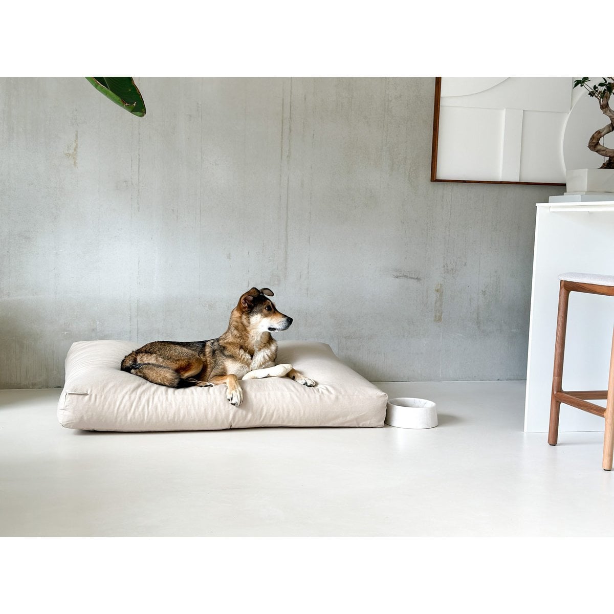 Studio Animaux Hundekissen | Baumwolle | EPS-Perlenfüllung | Vanille | Größe L | 130 x 90 x 15 cm