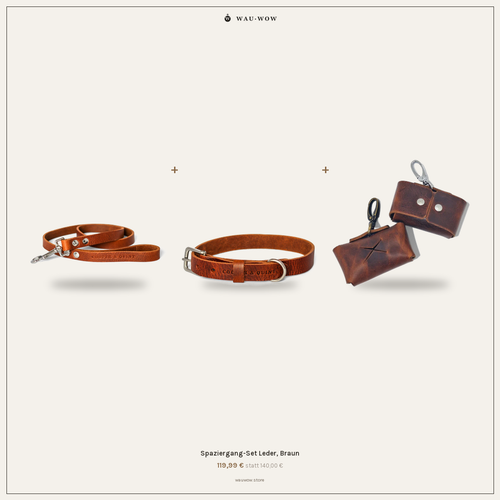 Bundle: Spaziergang-Set Leder, Braun