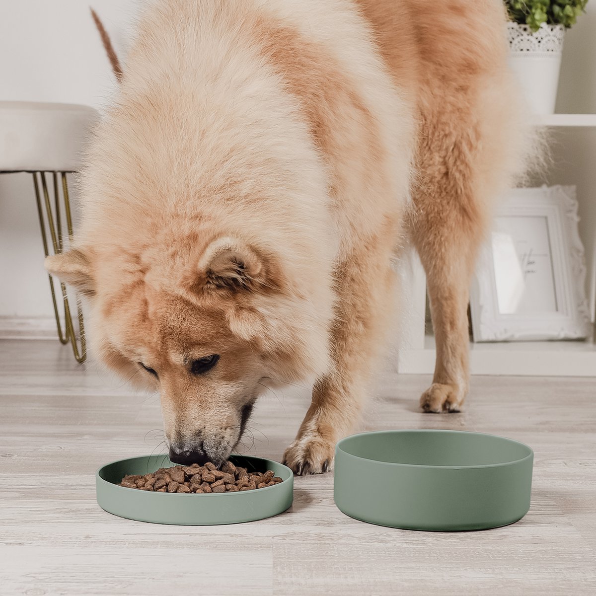 ne&no® siliconen voerbak met deksel - 3 in 1 voor honden en katten