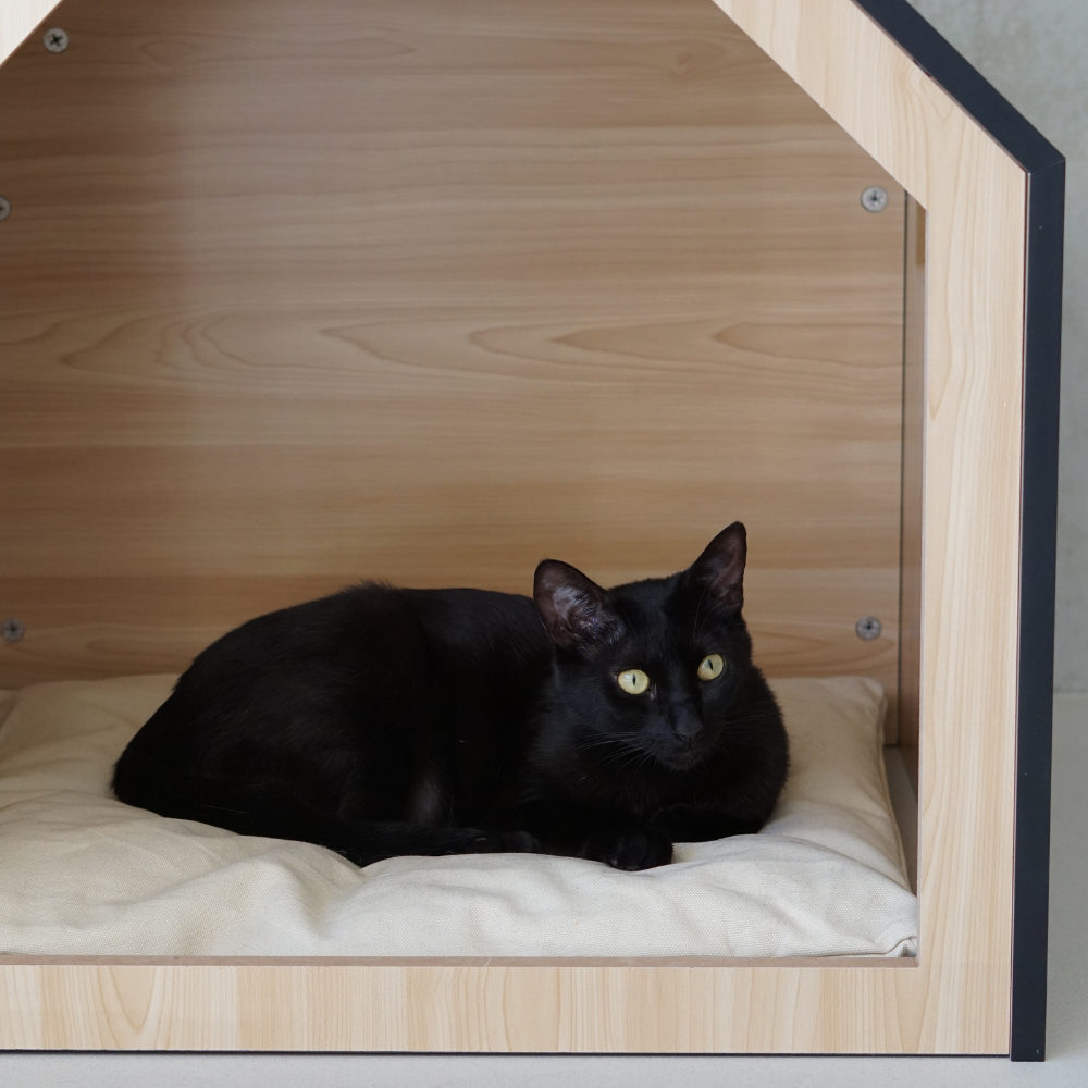 Studio Animaux maison pour chat et niche pour chien en bois et coton noir 58 x 58 x 65 cm