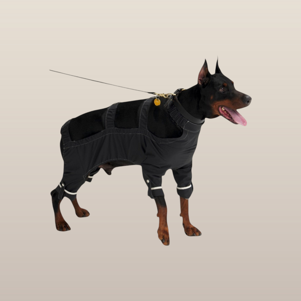 MoonRise Lulu After-Rain broek voor grote honden – zwart