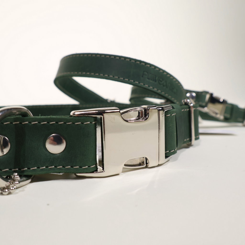 Pawearea Hundehalsband aus Leder – Echtes Vollnarbenleder, handgefertigt in Europa, 5 Farben, verstellbar