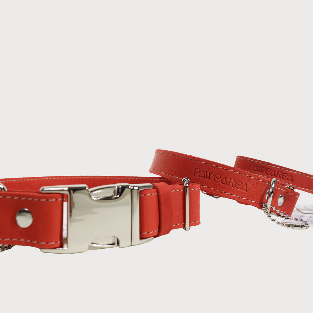 Pawearea Hundehalsband aus Leder – Echtes Vollnarbenleder, handgefertigt in Europa, 5 Farben, verstellbar