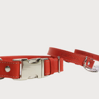 Pawearea Hundehalsband aus Leder – Echtes Vollnarbenleder, handgefertigt in Europa, 5 Farben, verstellbar