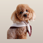 MoonRise Chalky Pet Bandana – French Taupe
