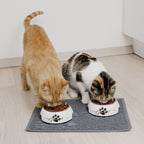 ne&no® Futternapf 2er Set für Hunde [Einzigartiges Design von NE&NO] - Gourmet Design