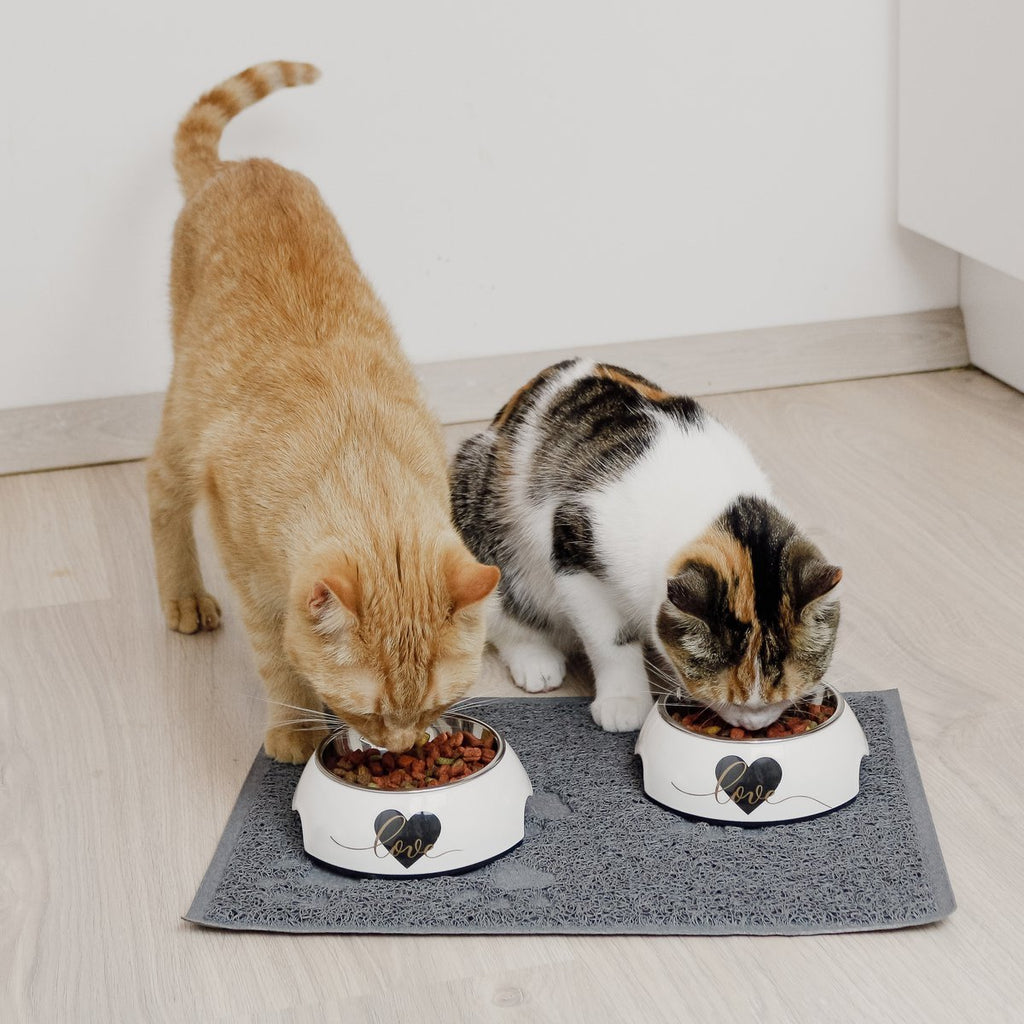 ne&no Feeding Bowl Set of 2 for Large Dogs [Unique Design by NE&NO], 'Love' Design