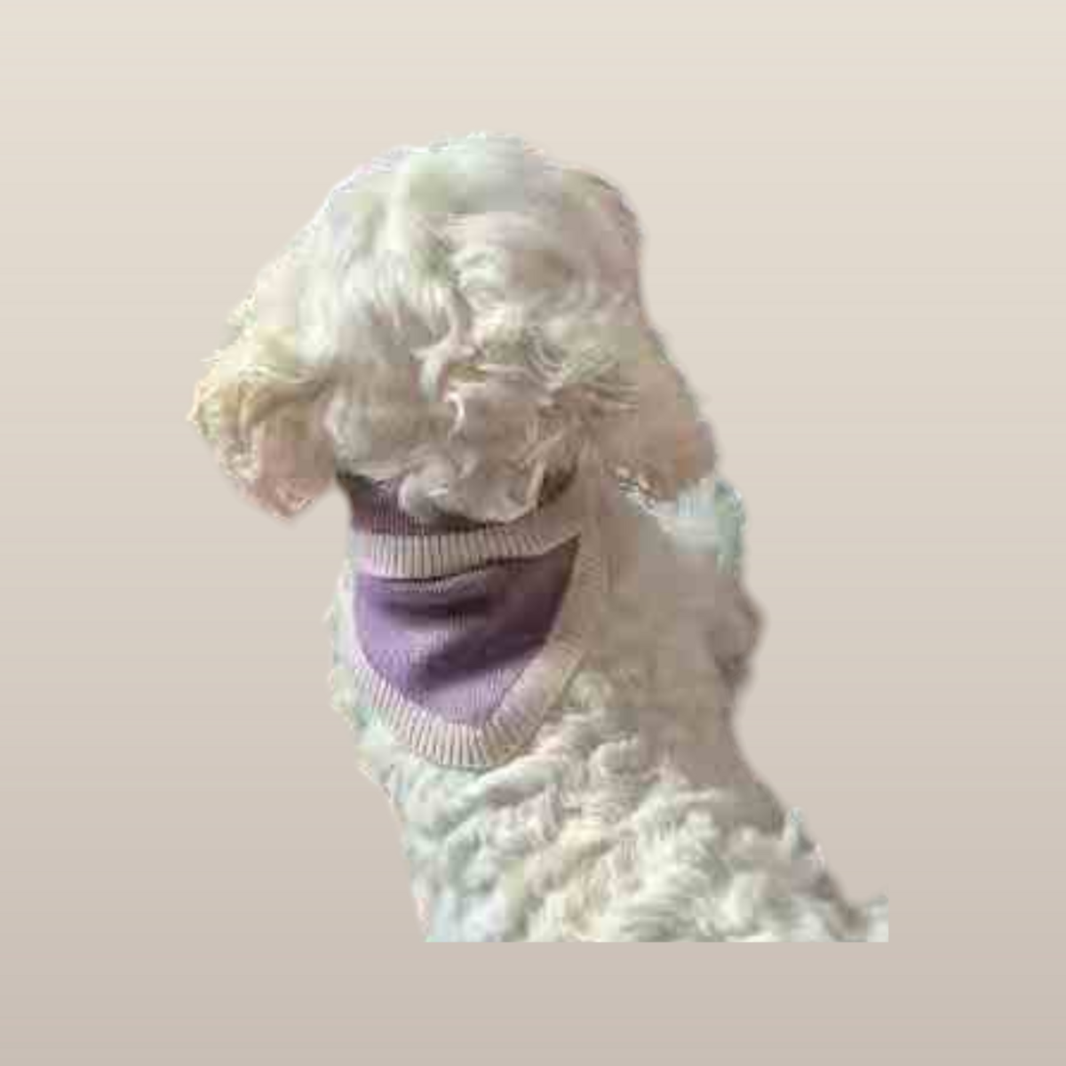 MoonRise Chalky Pet Bandana – Dusty Rose