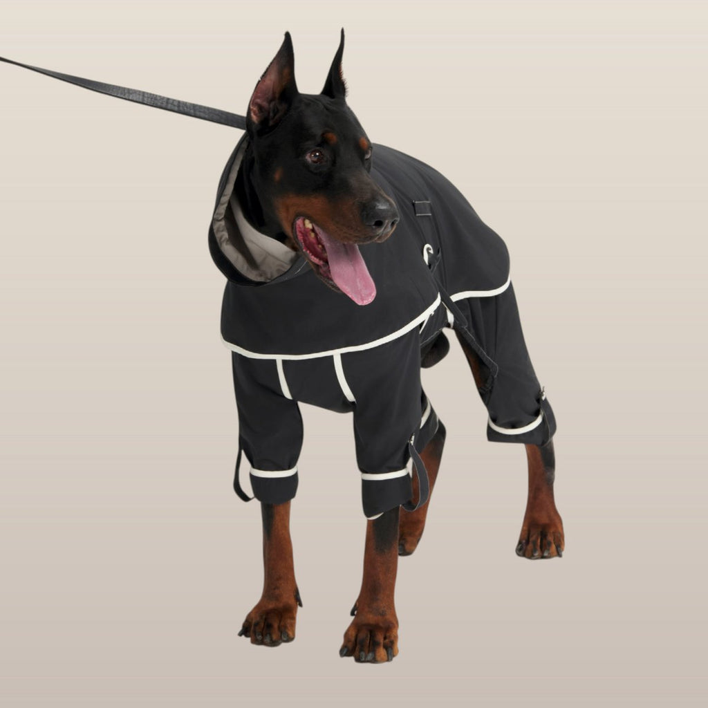 MoonRise Lulu pantalon After-Rain pour grands chiens – noir
