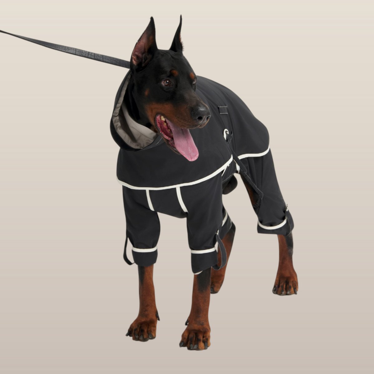 MoonRise Lulu After-Rain broek voor grote honden – zwart