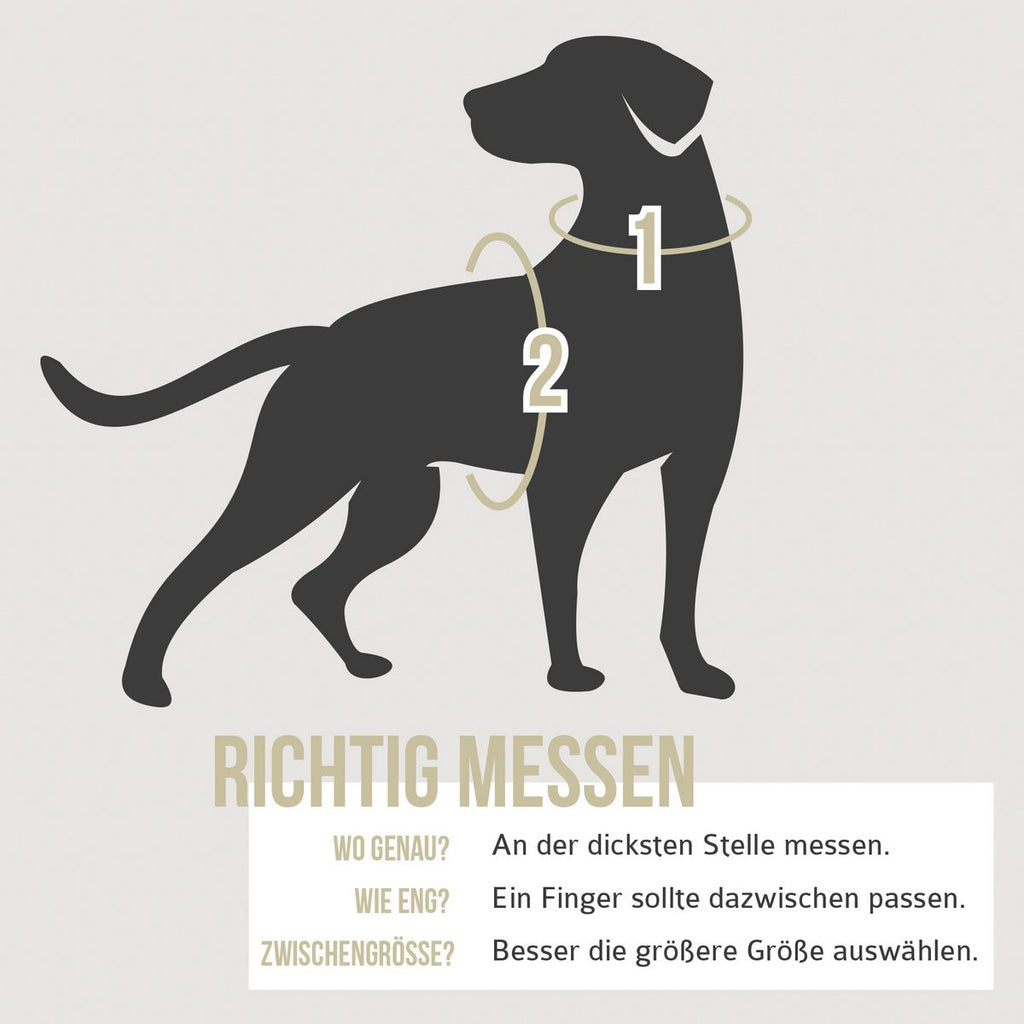 ne&no Dog Harness with Matching Shock Absorber [Developed by NE&NO]