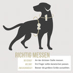 ne&no Dog Harness with Matching Shock Absorber [Developed by NE&NO]