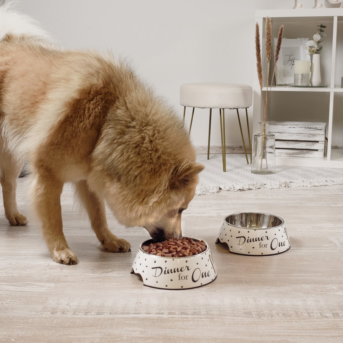 ne&no Feeding Bowl Set of 2 for Large Dogs [Unique Design by NE&NO], 'Dinner for One' Design